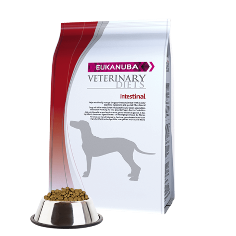 Eukanuba Intestinal for Adult Dogs of 5 kg.