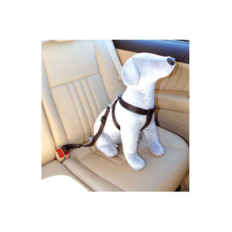 CAMON Harnais di Sicurezza per Auto pour Chiens Taille S 30-60 cm.