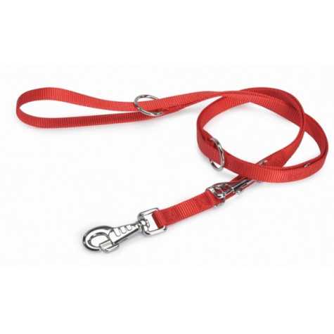 CAMON Laisse Éducation Nylon Rouge 25x2000 cm. - F131/01