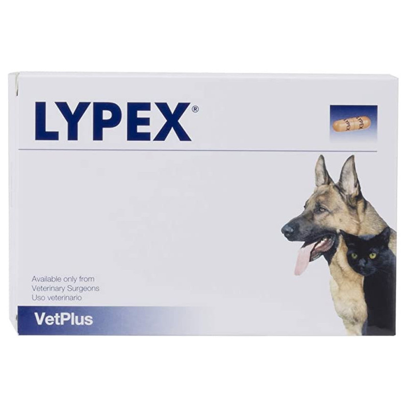VETPLUS Lypex 60 Tabletten (Pankreas-Ergänzung)