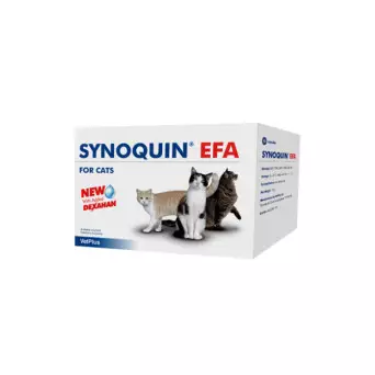 VETPLUS SYNOQUIN EFA GATTO 30 CAPSULE - 