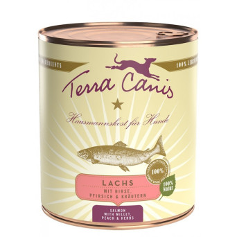 TERRA CANIS Classic Lachs mit Hirse, Pfirsich und aromatischen Kräutern 800 gr.
