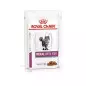 Royal Canin Nierenkatze Thunfisch 12 x 85 gr nass