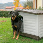 FERPLAST Dogvilla Cuccia per Cani L 62x W 43x H 45 cm.