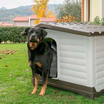 FERPLAST Dogvilla Cuccia per Cani L 88x W 72x H 65 cm. - 