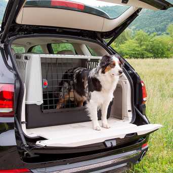 FERPLAST Trasportino Atlas Car 100/ 100x60x h 66 cm. - 