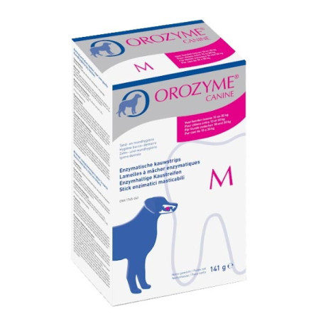 Orozyme gum large size - 