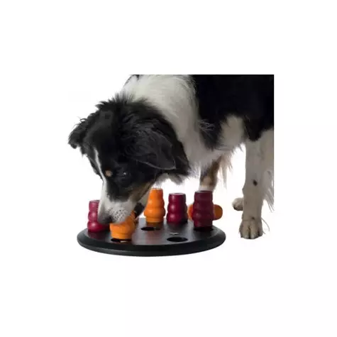 TRIXIE - Strategisches Solitaire-Spiel