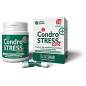 Innovet Condrostress (+) Chat de 30 cmp