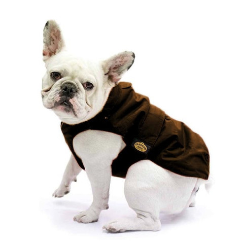 FASHION DOG Cappotto Impermeabile con Imbottitura Staccabile Marrone per Carlino e Bulldog Francese Taglia 43 - 
