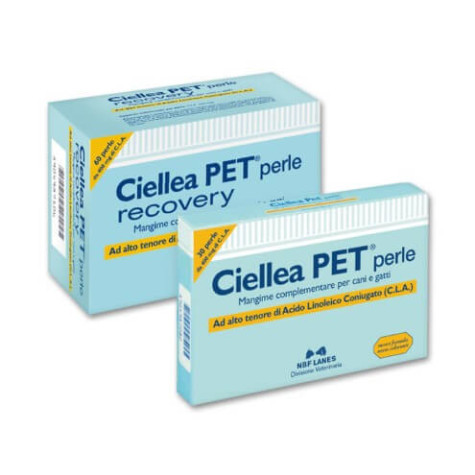 NBF Lanes Ciellea Pet Recovery 60 capsules