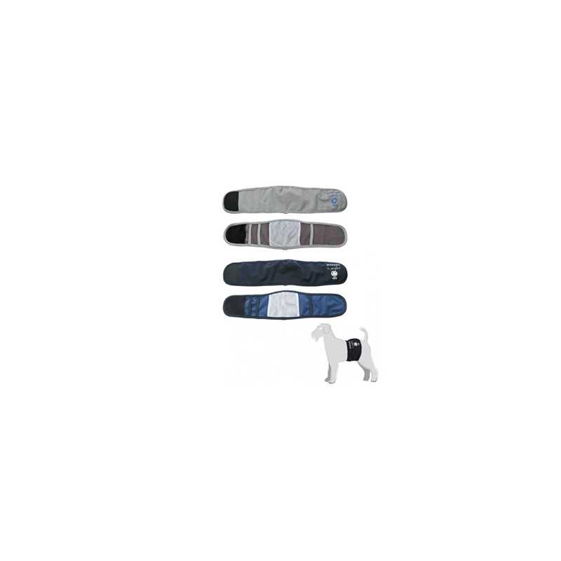 CAMON Fascia Igienica pour Chiens Mâles Bleu Taille XS CAMON Fascia Igienica pour Chiens Mâles Bleu Taille XS