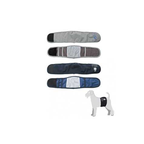 CAMON Fascia Igienica per Cani Maschi Blu Taglia S - 