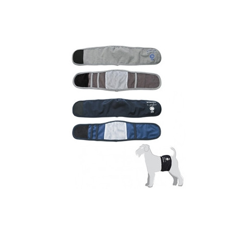 CAMON Fascia Igienica per Cani Maschi Blu Taglia S - 