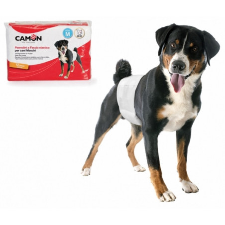 CAMON Pannolini a Fascia Elastica per Cani Maschi 46/60 cm. - 