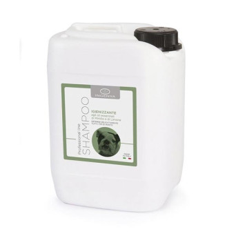 CAMON Shampoo Igienizzante agli Oli Essenziali di Mirtillo e Limone 5 lt. - 