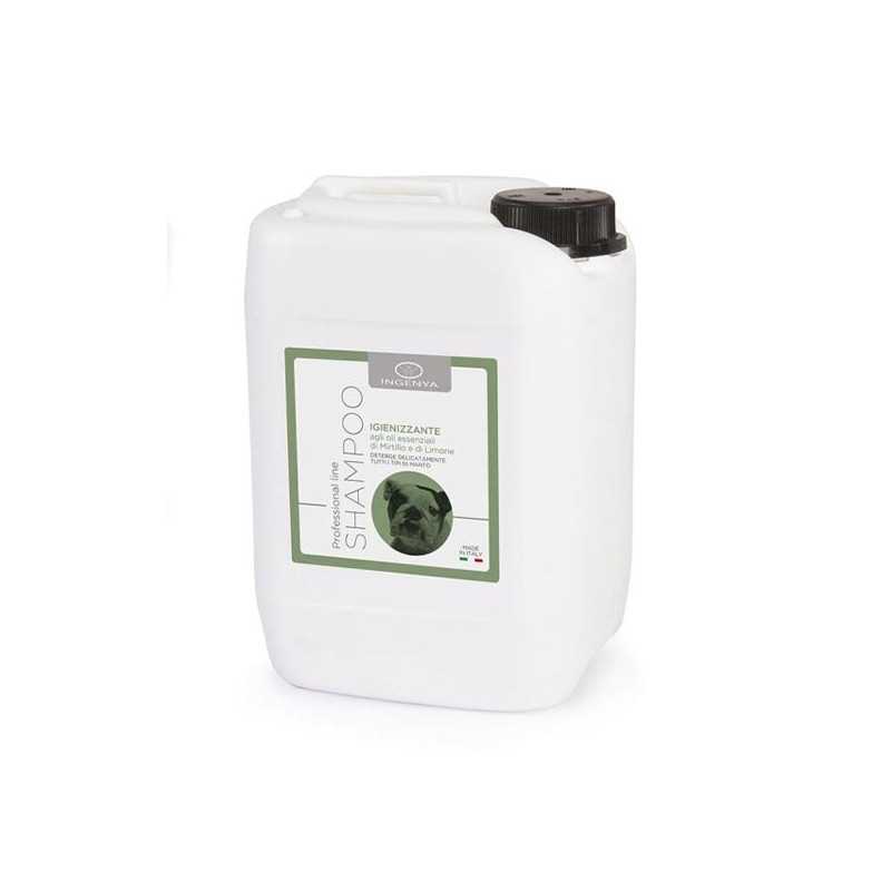 CAMON Shampoo Igienizzante agli Oli Essenziali di Myrtille et Limone 5 L.