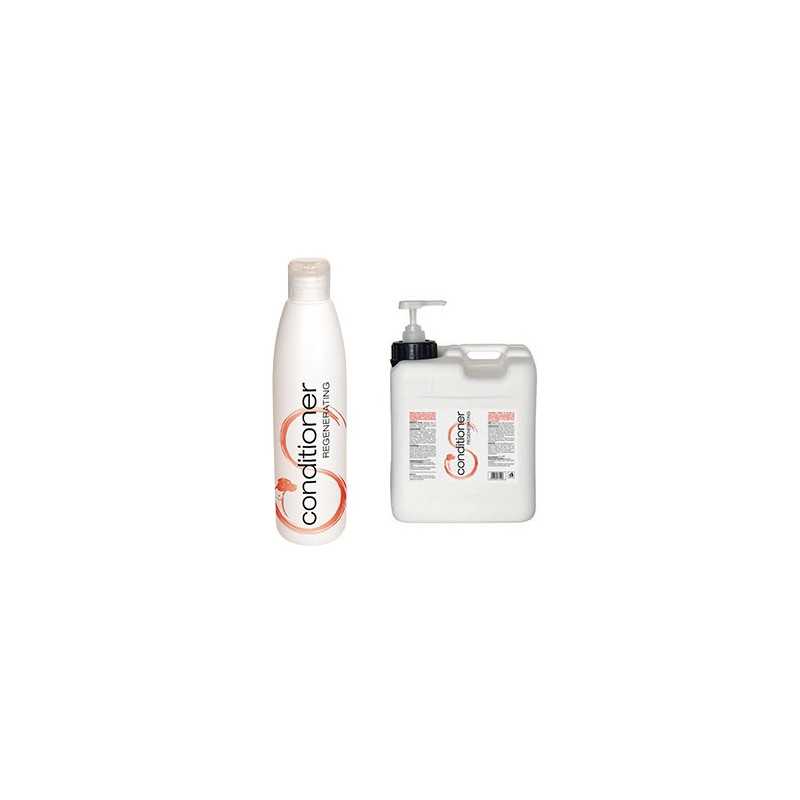 SLAIS Ligne hygiène Conditioner Regenerating 5 L. SLAIS Ligne hygiène Conditioner Regenerating 5 L.