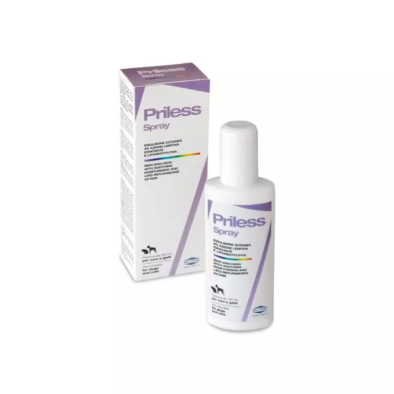 SLAIS Hygiene Line Trockenshampoo 1 lt.