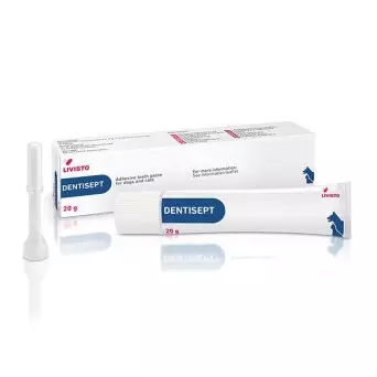 TREI-LIVISTO Dentisept con Applicatore 20 gr. -