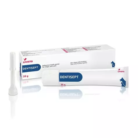 TREI-LIVISTO Dentisept with Applicator 20 gr.