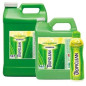 TROPICLEAN Aloe Moist Shampoo 9,50 L.