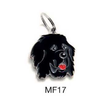 MY FAMILY Medaglietta Friends Terranova - 