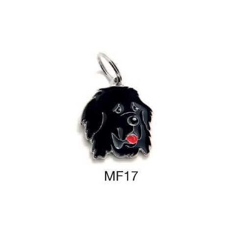 MY FAMILY Medaglietta Friends Terranova - 