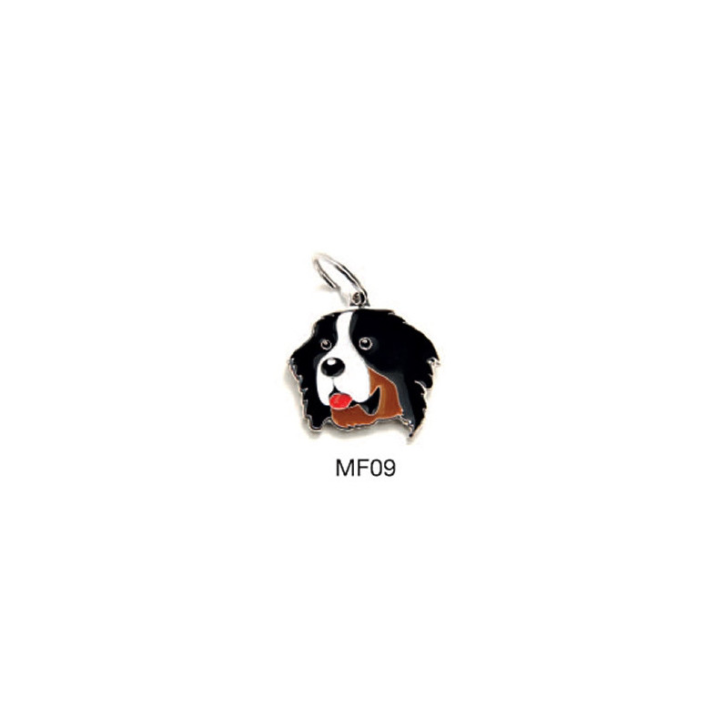 MY FAMILY Bernese Mountain Dog Friends Tag