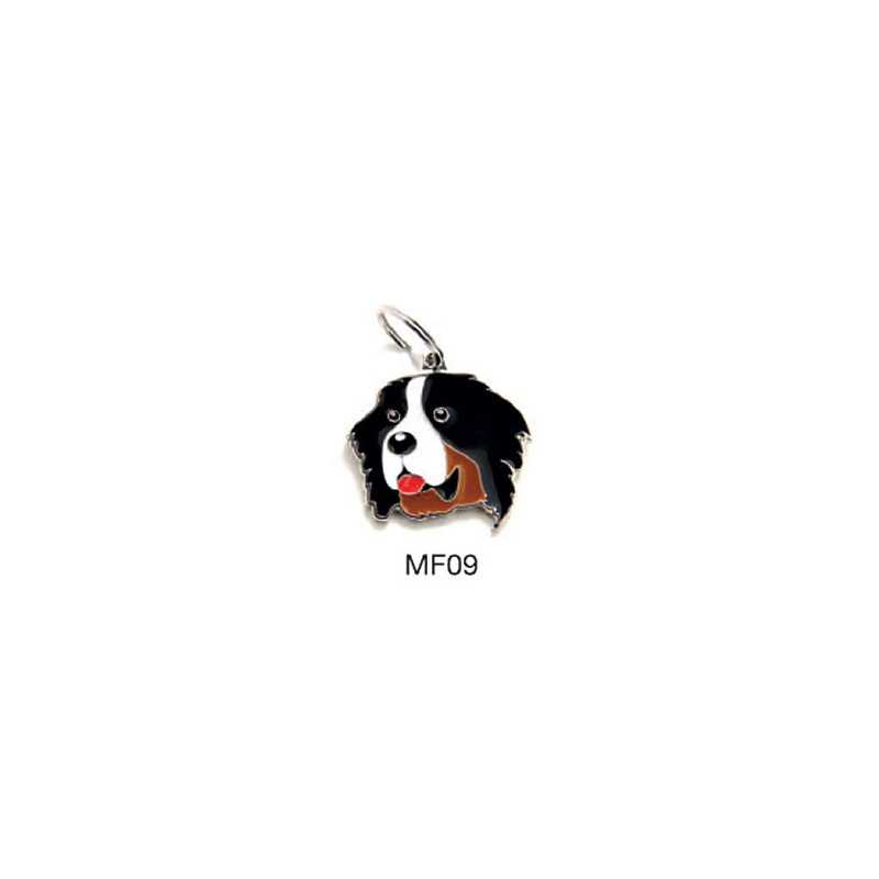 MY FAMILY Médaille Friends Bovaro del Bernese MY FAMILY Médaille Friends Bovaro del Bernese