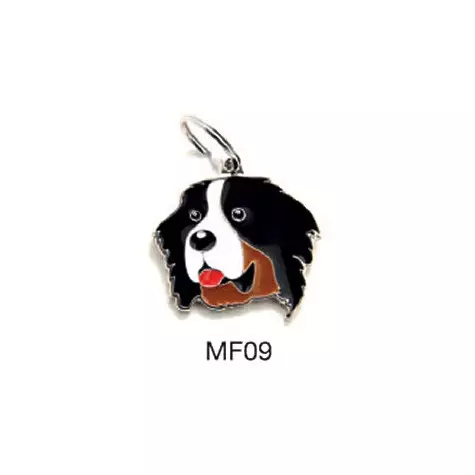 MY FAMILY Berner Sennenhund Freunde Tag