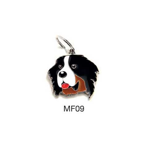 MY FAMILY Médaille Friends Bovaro del Bernese