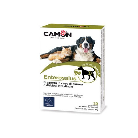 CAMON Enterosalus 889 g - 30 comprimés