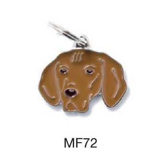 MY FAMILY Medaglietta Friends Vizla - 