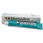 ICF Stomodine Gel 30 g Igiene Orale Chien et Chat