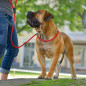 HUNTER Retriever Leash Freestyle Rouge 10mm.x20cm.