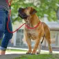 HUNTER Retriever Leash Freestyle Red 8mm.x20cm.