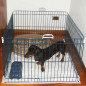 FERPLAST Dog Training 80 x 80 x h 62 cm
