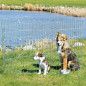 TRIXIE Recinto per Chiots 8 Segmenti da 61 × 91 cm