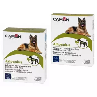 CAMON Artosalus 30 cpr. - 