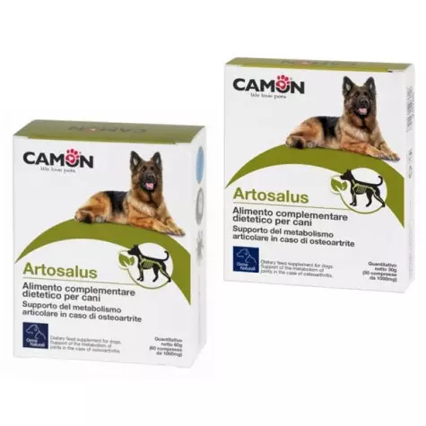 CAMON Artosalus 30 cpr.