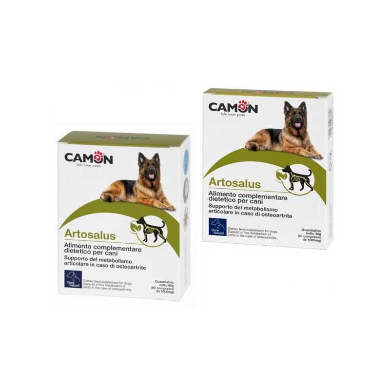 CAMON Artosalus 30 comprimés. CAMON Artosalus 30 comprimés.