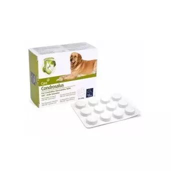 CAMON Chondrosalus 30 tablets *