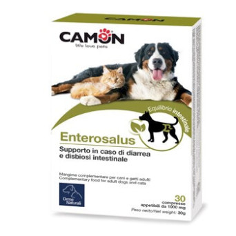 CAMON Enterosalus (1 Bustina 2,50 gr.) - 
