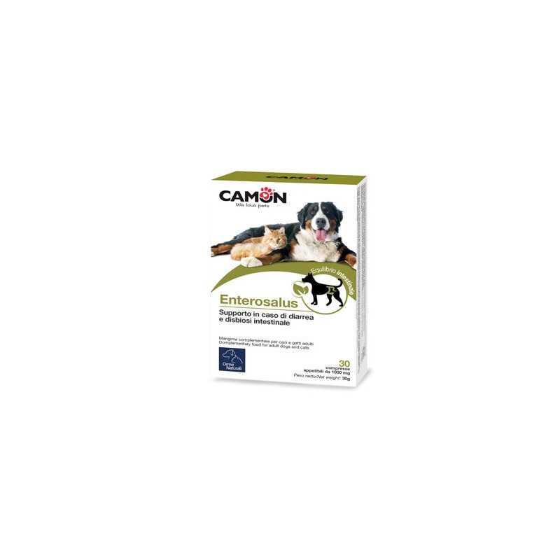CAMON Enterosalus (1 Sachet 2,50 g.)