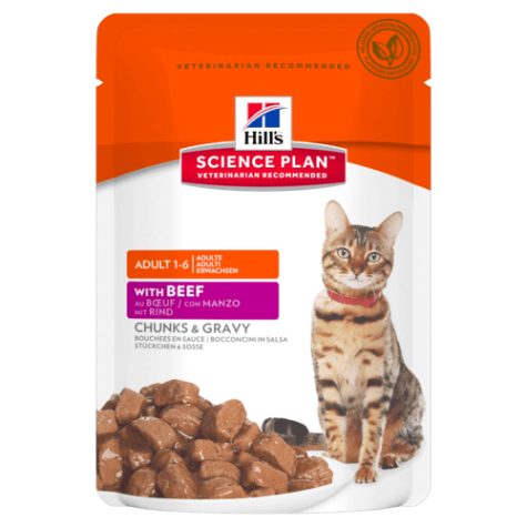 Hill's Cat Adult Tender Chunks Beef Sauce 85 gr.