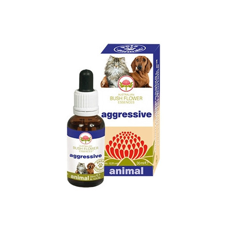 GREEN REMEDIES SPA Aggressive 30 ml. - 