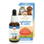GREEN REMEDIES SPA Agitation et Calm 30 ml.