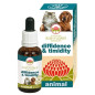 GREEN REMEDIES SPA Diffidence et Timidity 30 ml.