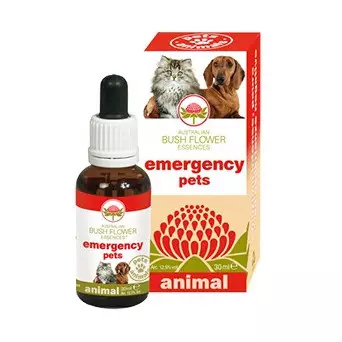 GREEN REMEDIES SPA Notfall Haustiere 30 ml.